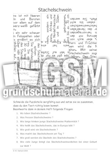 Stachelschwein.pdf